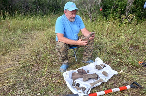 Ученые впервые в Якутии обнаружили древние останки рыси и бобра