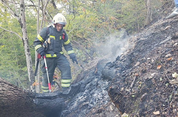 Площадь лесного пожара в Геленджике возросла до 118 га
