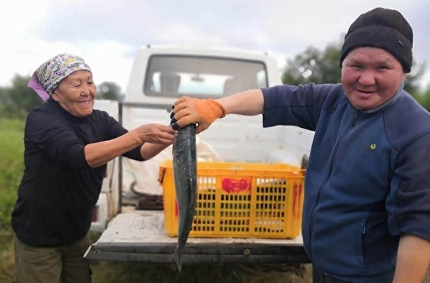 Власти Камчатки обеспечили рыбой семьи участников СВО из числа коренных народов