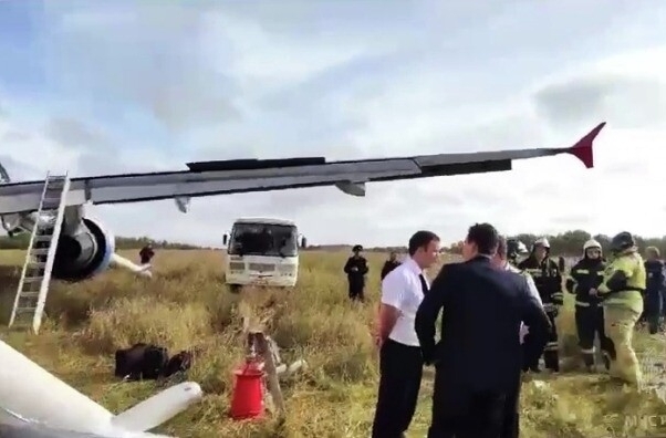 Экипаж севшего в поле в Новосибирской области самолета до конца расследования будет отстранен от полетов - гендиректор "Уральских авиалиний"