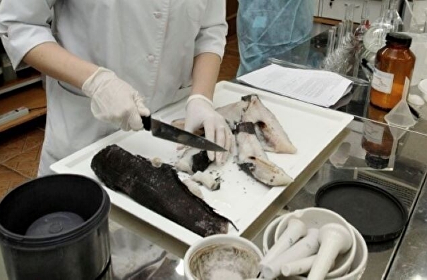 Россельхознадзор не обнаружил нарушений при мониторинге рыбы после сбросов с АЭС "Фукусима-1"