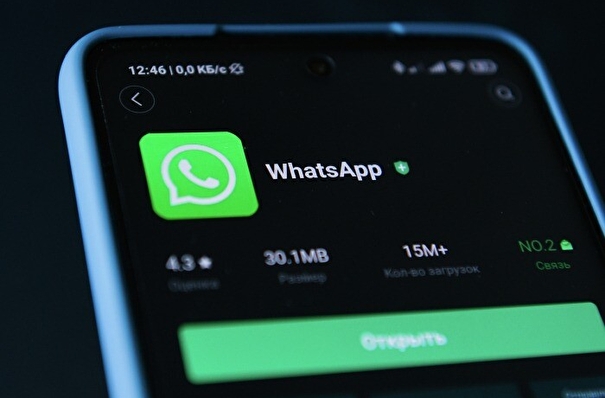 Роскомнадзор допустил блокировку WhatsApp в России