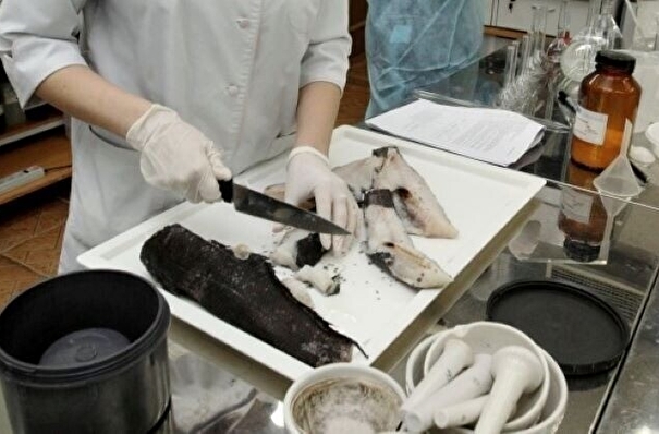 Нарушений при мониторинге рыбы после сбросов с АЭС "Фукусима-1" не выявлено - Россельхознадзор