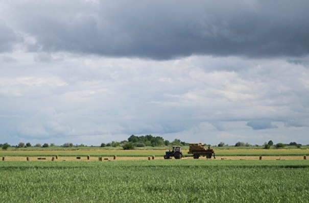 Бесплатным "сельскохозяйственным гектаром" будут наделять в Омской области отличившихся участников СВО