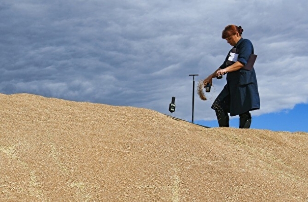 Бизнес рассчитывает на обсуждение экспорта зерна из РФ в ходе визита Путина в КНР