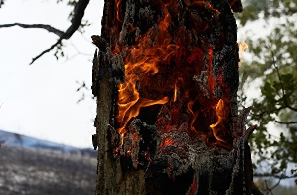 Высокий риск природных пожаров в Тюменской области сохранится до выходных