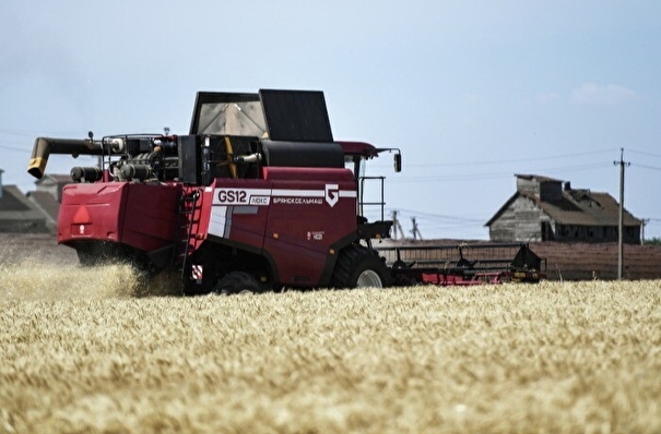 Путин: урожай зерновых в РФ в этом году может составить 134-135 млн тонн