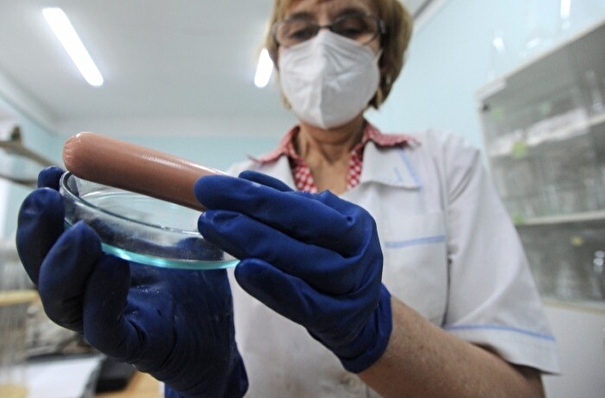 Дети в Перми заразились норовирусом из-за заболевших сотрудников столовой