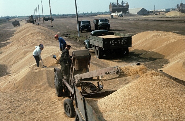 Челябинская область отмечает рост экспорта зерна в текущем сельхозсезоне