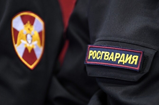 Росгвардия сообщила об изъятии почти 200 кг взрывчатых веществ в Херсонской и Запорожской областях за месяц
