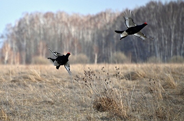 Еще две особо охраняемые природные территории появились в Костромской области