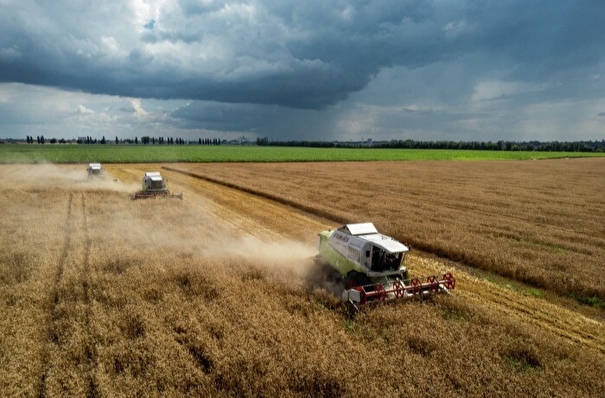 Волгоградская область завершает уборку зерновых, урожайность - ниже прошлогодней