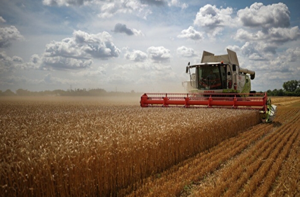 Аграрии РФ в этом году собрали более 150 млн т зерна - замминистра