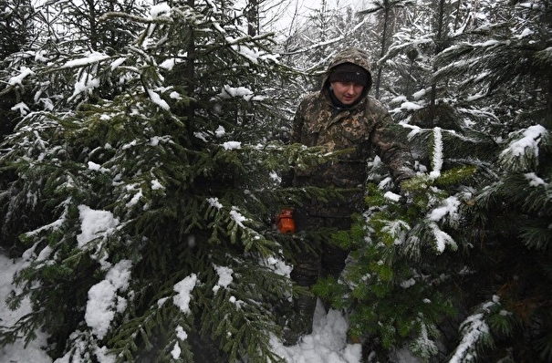 На Урале падает спрос на новогодние елки