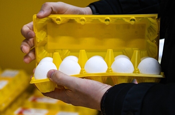 Власти Иркутской области договорились с производителями куриного яйца о фиксации цен до 1 апреля