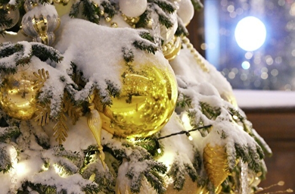 Парад новогодних елок стартовал в Тамбовской области