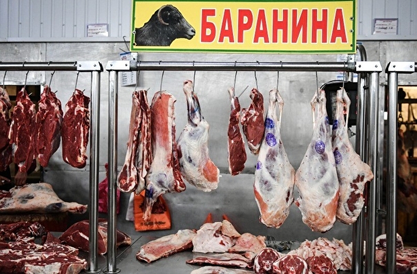 Объем экспорта ставропольской баранины в 2023 году вырос в 7 раз