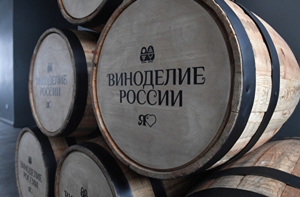 Ростовская область активно развивает виноделие - губернатор