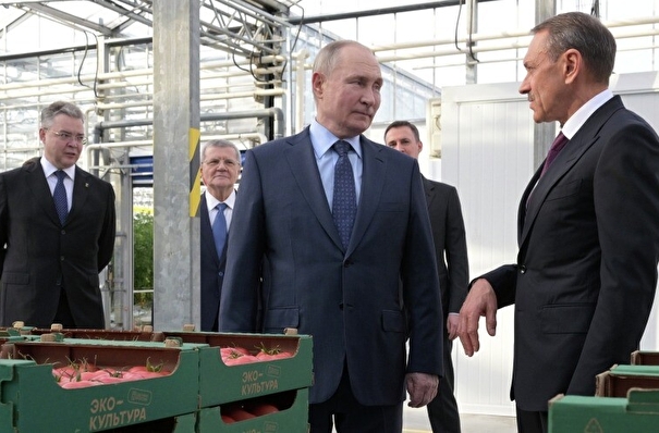 Путин: поддержим любое решение для обеспечения сельхозработ топливом