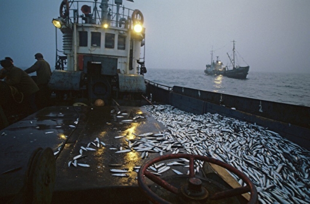 Сенаторы РФ денонсировали соглашение между СССР и Великобританией о вылове рыбы