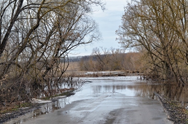 Около 20 мостов подтопило в Рязанской области