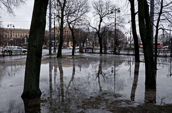 Более 100 скверов и садов в Петербурге закрыли на просушку и уборку