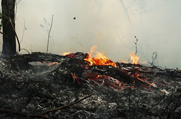 Свердловская и Тюменская область признаны готовыми к пожароопасному сезону