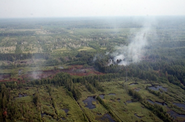 Около 40 очагов торфяных пожаров потушили в Свердловской области