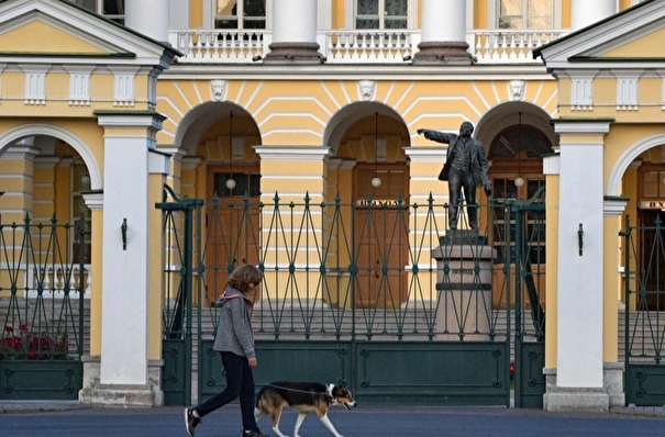 Власти Петербурга смогут помочь НКО в сфере поддержки детей и бездомных животных