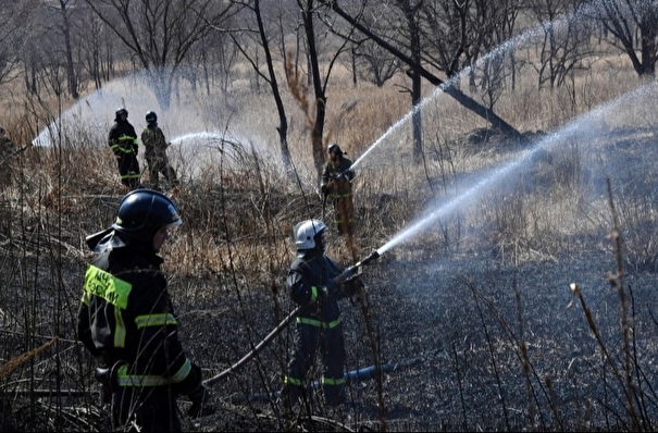 Пожар в лесничестве тушат в Туапсинском районе Кубани