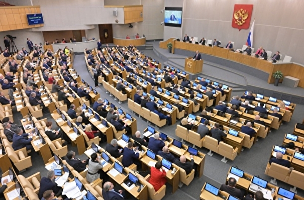 Госдума в приоритетном порядке рассмотрит проект закона о продлении до 2030 года выплат по 450 тыс. руб. многодетным семьям - Володин