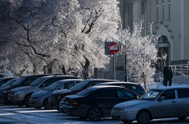 Московский дептранс рекомендовал не парковаться вблизи деревьев из-за сильного ветра