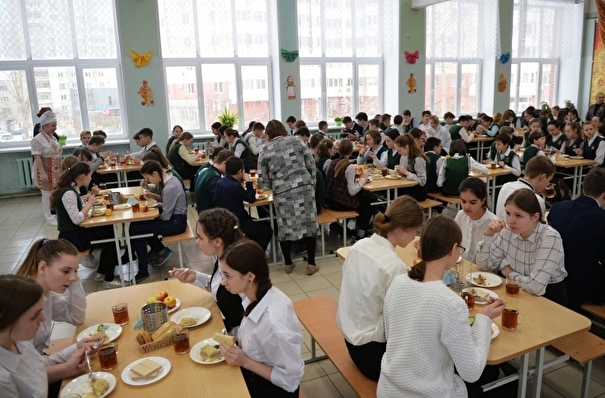 Бесплатно питаться в школах будут дети из многодетных семей Костромской области