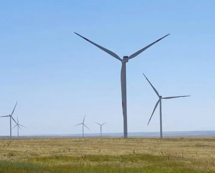 Ветроэнергетический потенциал Ростовской области требует реализации проектов. © "Интерфакс". Федор Ларин