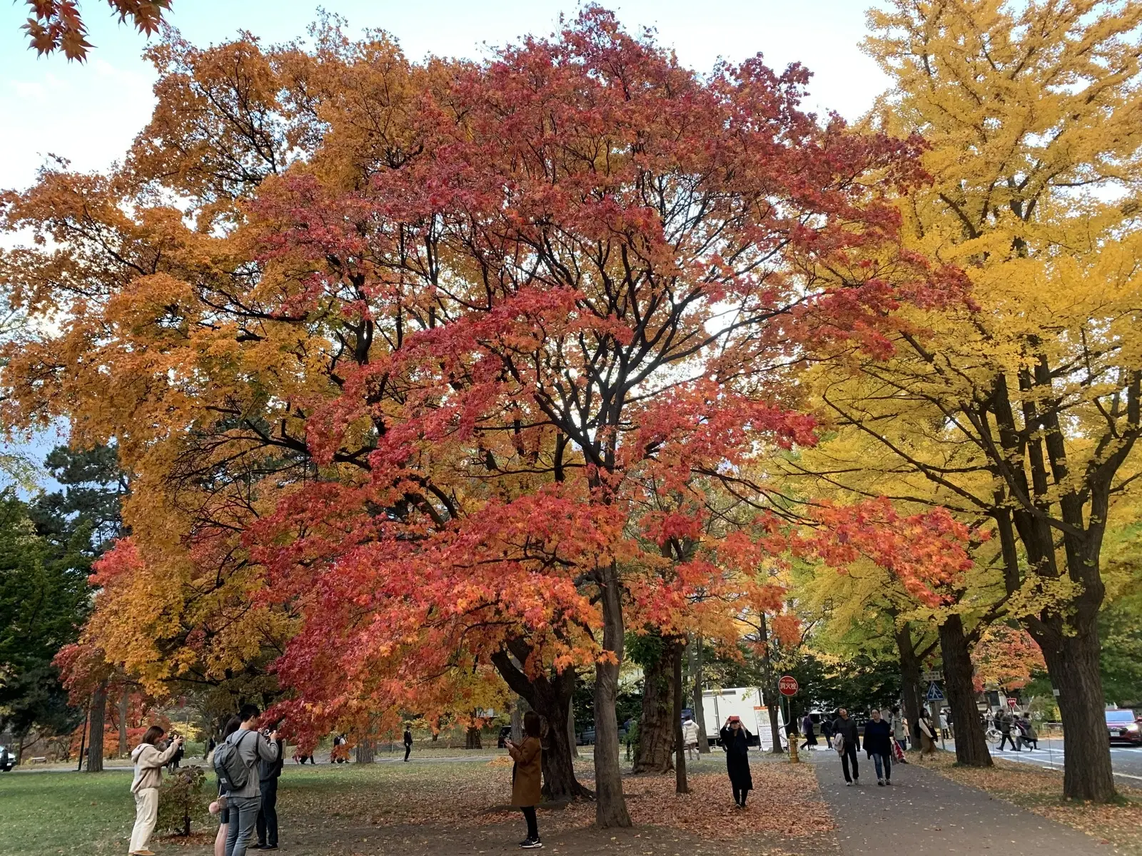 Туроператоры объяснили, почему образуются очереди в посольстве Японии. Фото. Японский остров Хоккайдо. © 