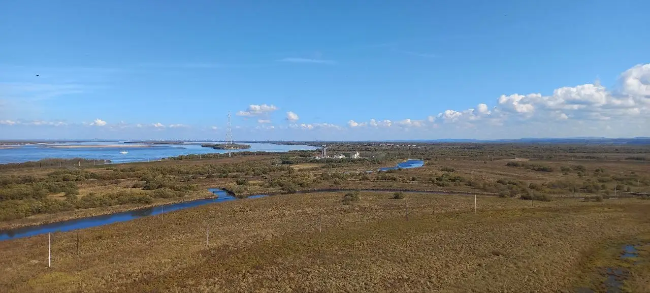 Путин поручил подготовить проект создания пункта пропуска в КНР на острове Большой Уссурийский