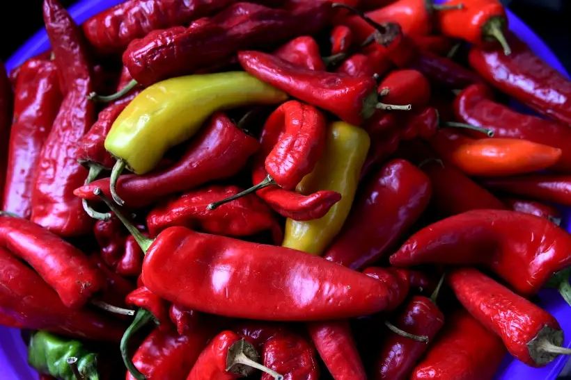 Перец чили: польза и вред. Фото. © РИА Новости. Виталий Аньков