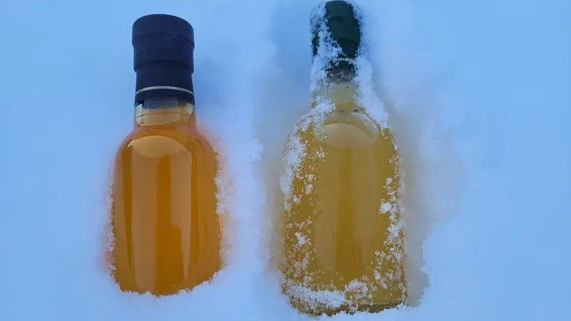 Оптимальная температура хранения домашних настоек — от +5°C до +20°C. Фото