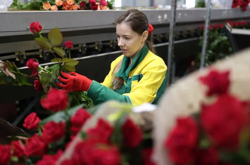 Какие цветы на 8 марта дарят женщинам: жене, маме, подруге