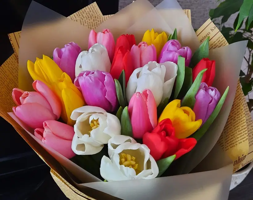 Какие цветы на 8 марта дарят женщинам: жене, маме, подруге. Фото. © 