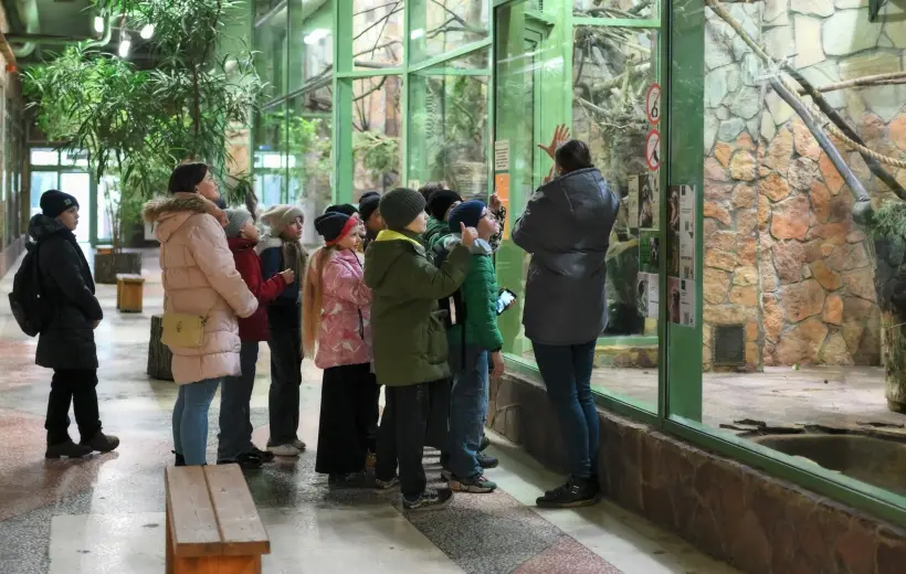 Поход в зоопарк или поездка на экоферму - возможность познакомить детей с животным миром. Фото