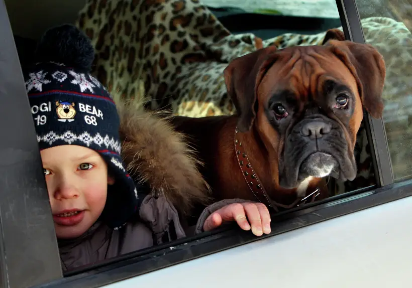 Небольшая поездка в другой город или на природу поможет сменить обстановку, подарит новые впечатления и сблизит семью. Фото