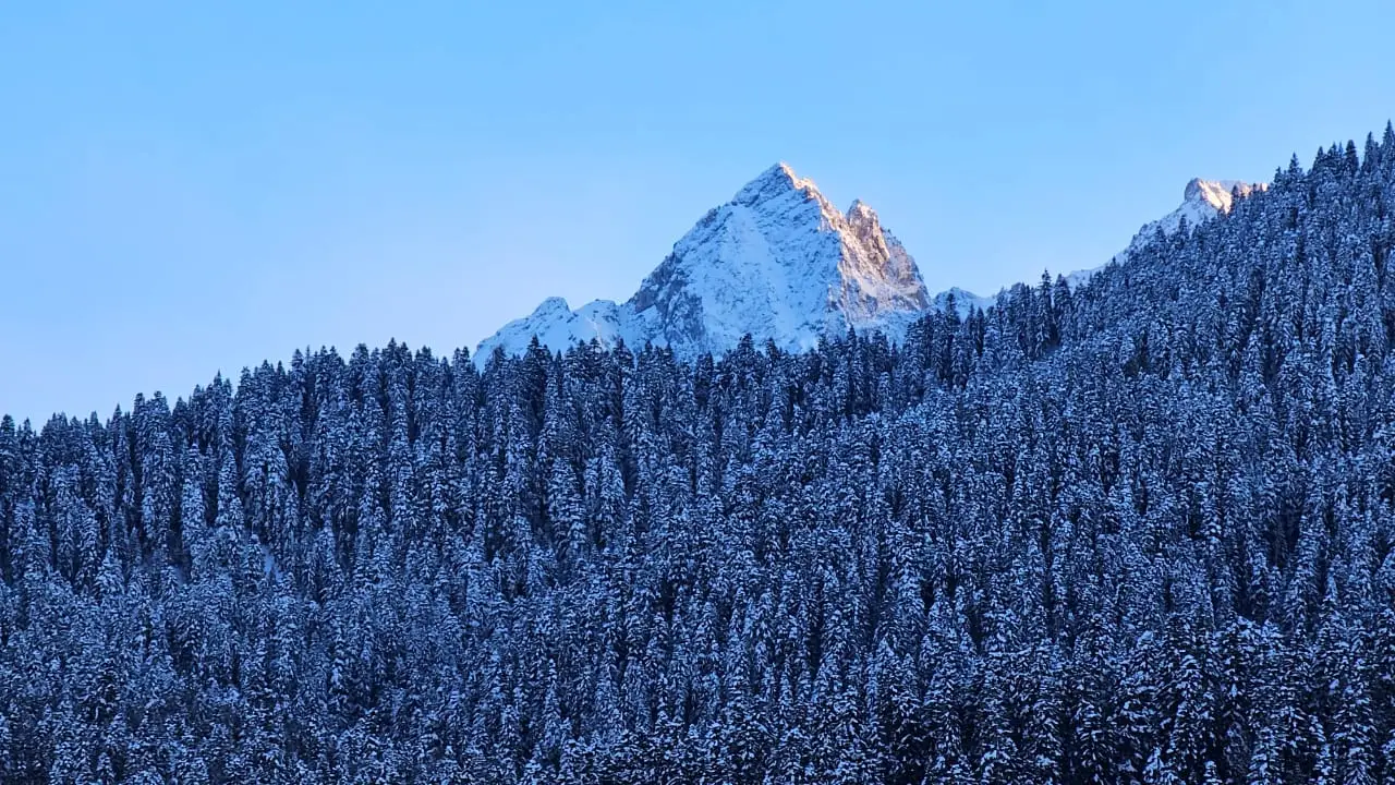 Троих туристов с травмами эвакуируют из горного ущелья в Карачаево-Черкесии. Фото. © Интерфакс. Олег Санников