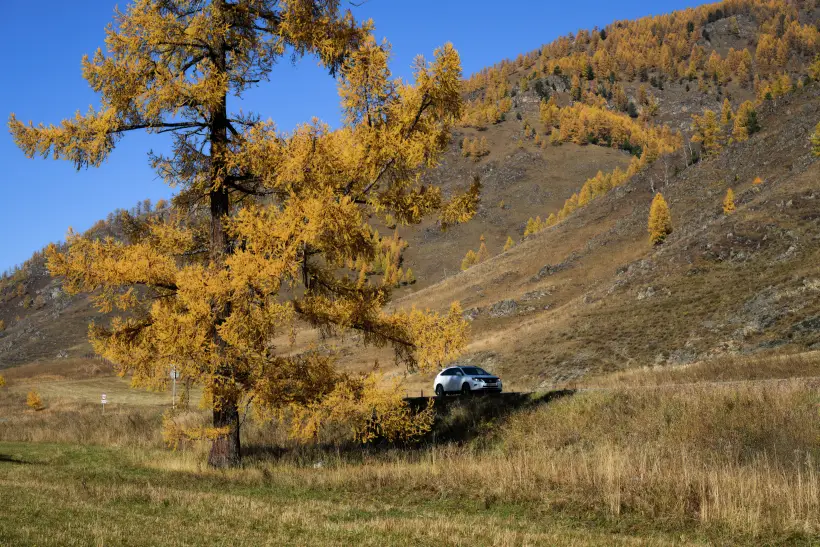 Для поездки в горы лучше выбрать кроссовер или внедорожник. Фото