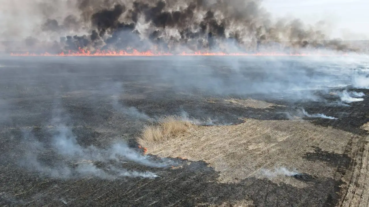 Более 30 возгораний произошло за 10 дней вблизи Астраханского заповедника. Фото. © Пресс-служба Астраханского биосферного заповедника