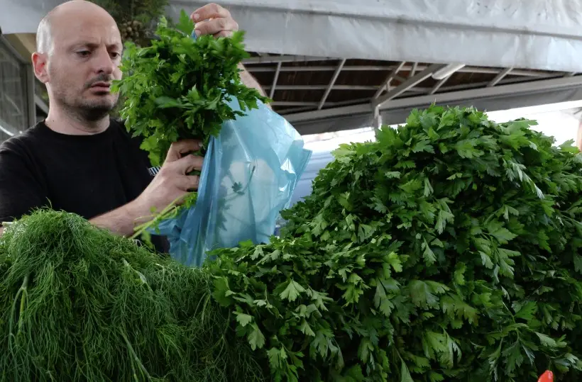 Лук, укроп или сельдерей: какая зелень самая полезная для здоровья
