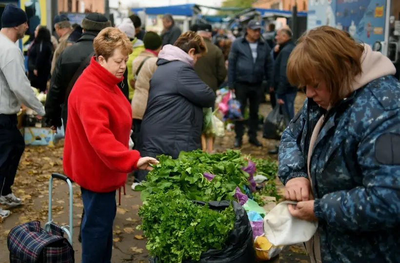 Лук, укроп или сельдерей: какая зелень самая полезная для здоровья