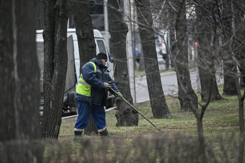 Началось благоустройство территории олимпийского комплекса 