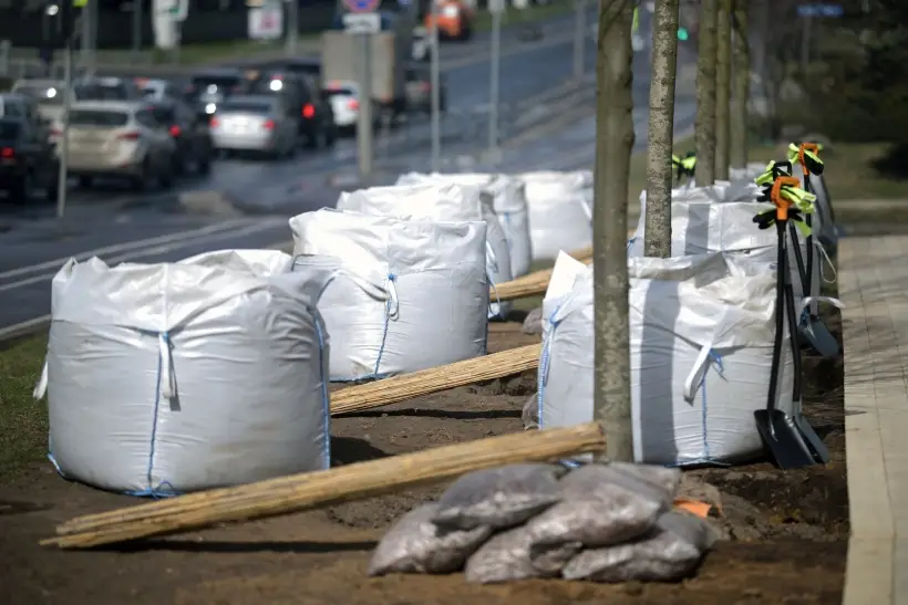 Общегородской субботник проведут в Петербурге 25 октября. Фото. © РИА Новости. Владимир Астапкович