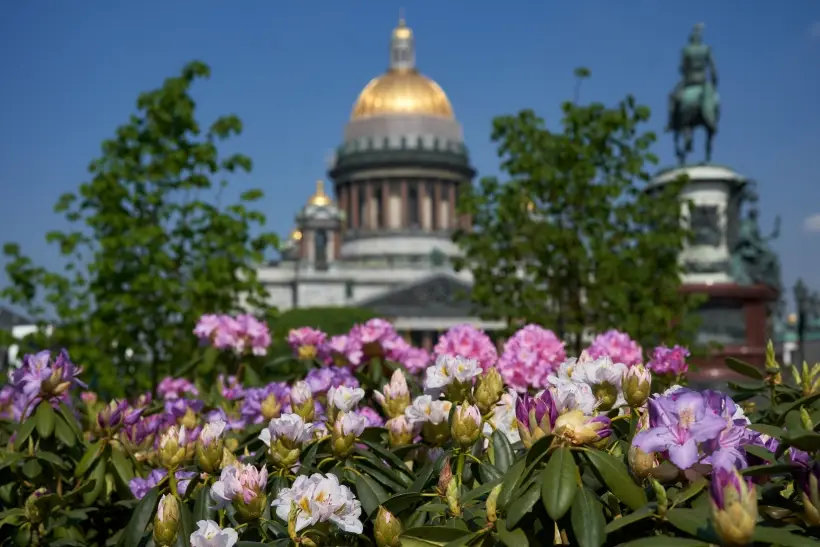 Полмиллиона цветов высадили в Петербурге за неделю. Фото. © РИА Новости. Алексей Даничев